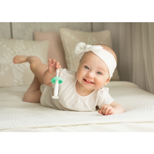 giligums gryzak szczoteczka